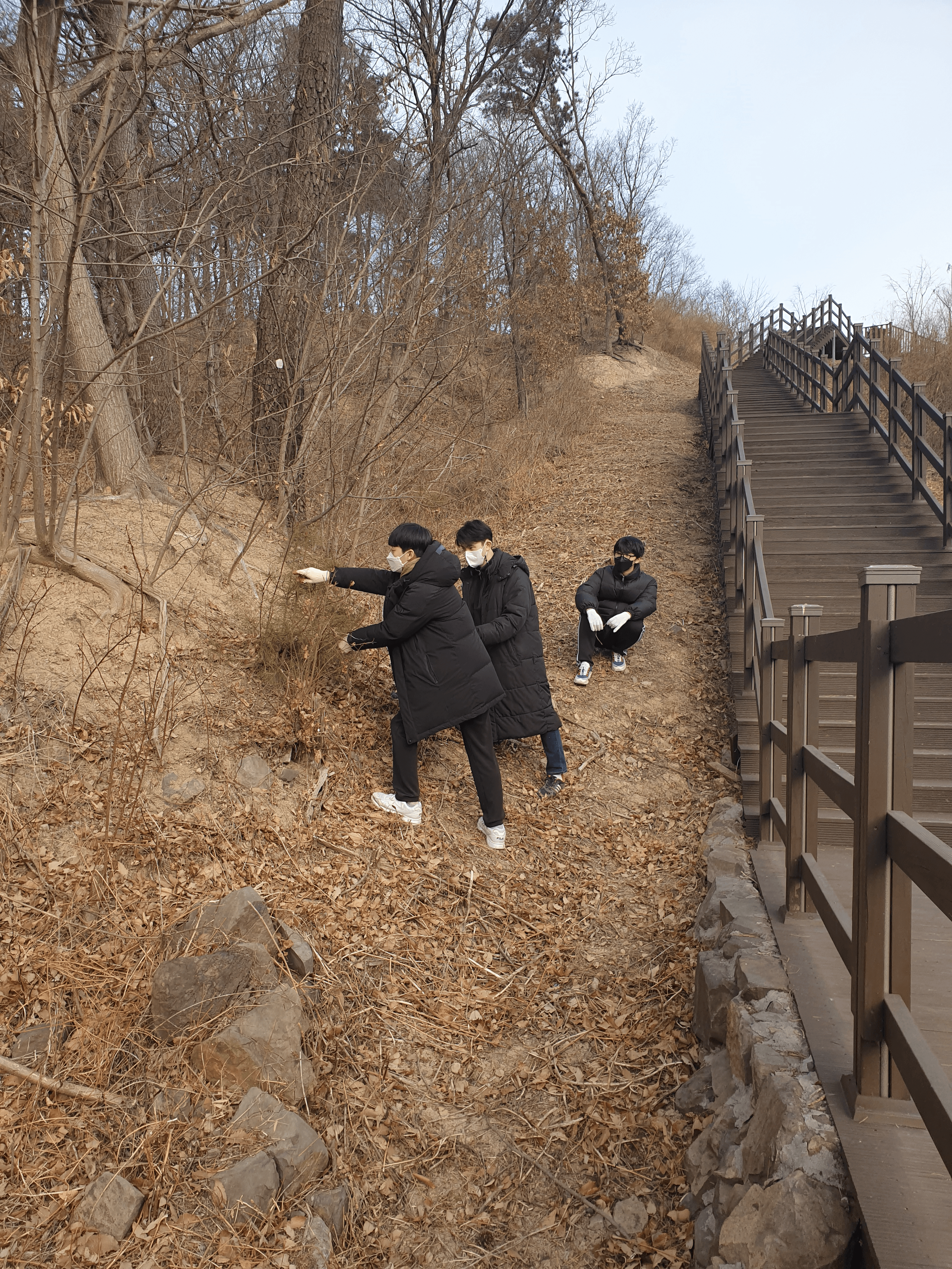 김대엽