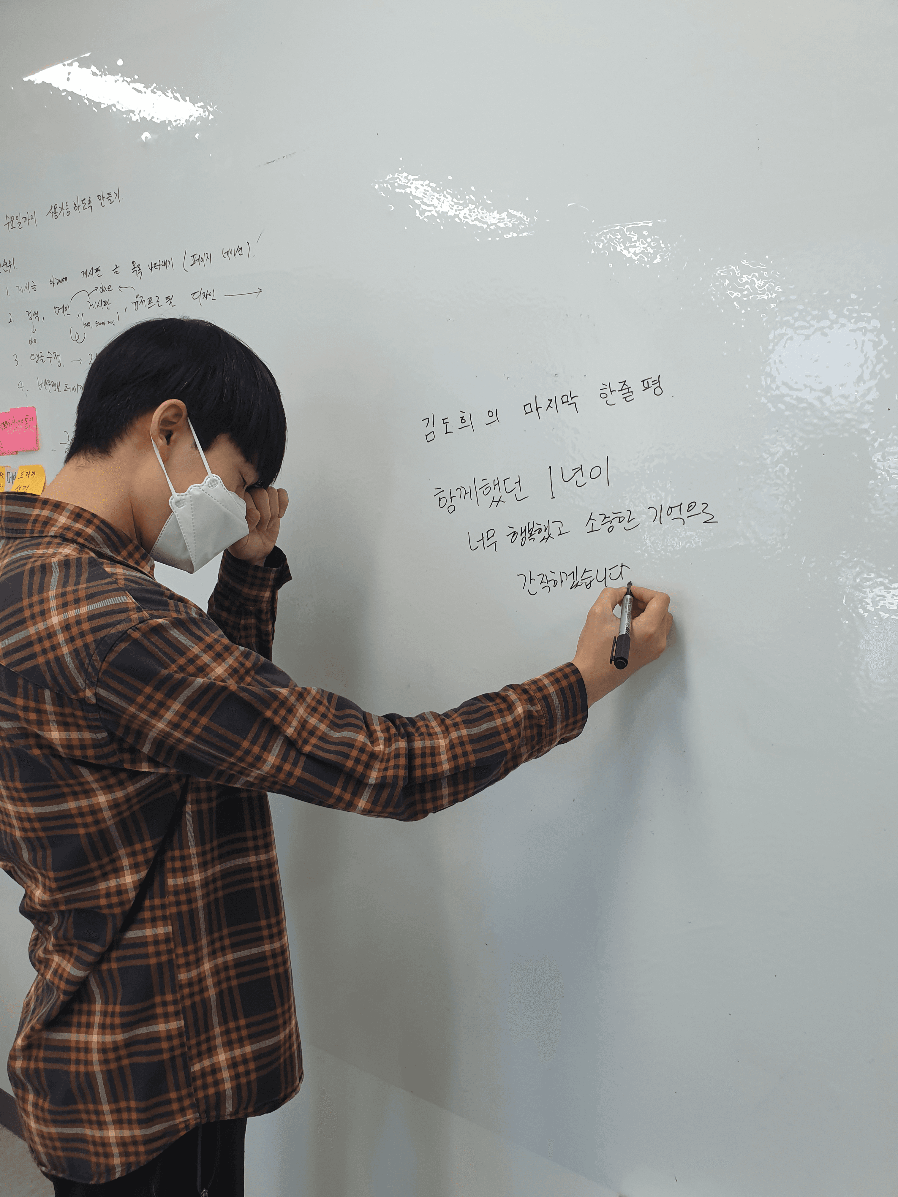 김도희