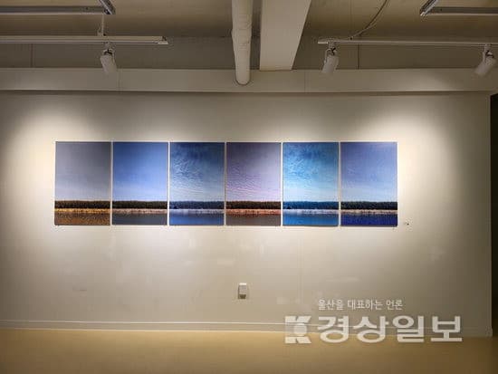 낯선 익숙함 — AI 아티스트가 그린 태화강 국가정원