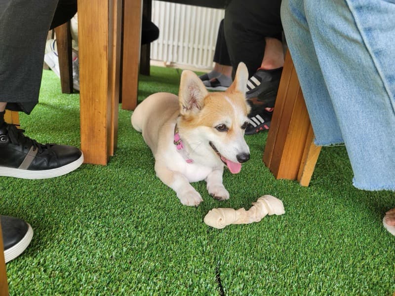 코어닷투데이 일상